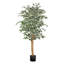 Ficus artificiel 5 pi avec plante noire