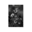 «Black Eyed Susans» par Tony Smith, reproduction d'art sur toile-1928317