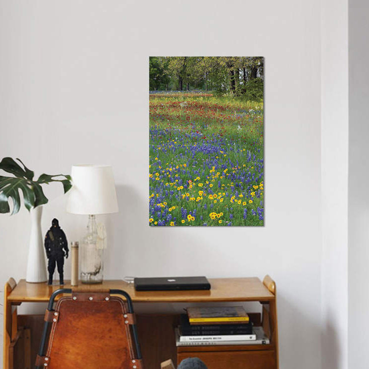 Sable Bluebonnet, Drummond's Phlox and Tickseed, Fort Parker State Park, Texas II par Tim Fitzharris - reproduction de photo