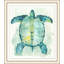 Grand Ocean Turtle Print