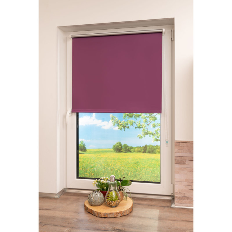Klemmfix Room Darkening Roll-Up Blinds, 150 cm L x 50 cm W , Blackberry