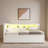 Daybed With Usb Ports And Led Belt And Trundle