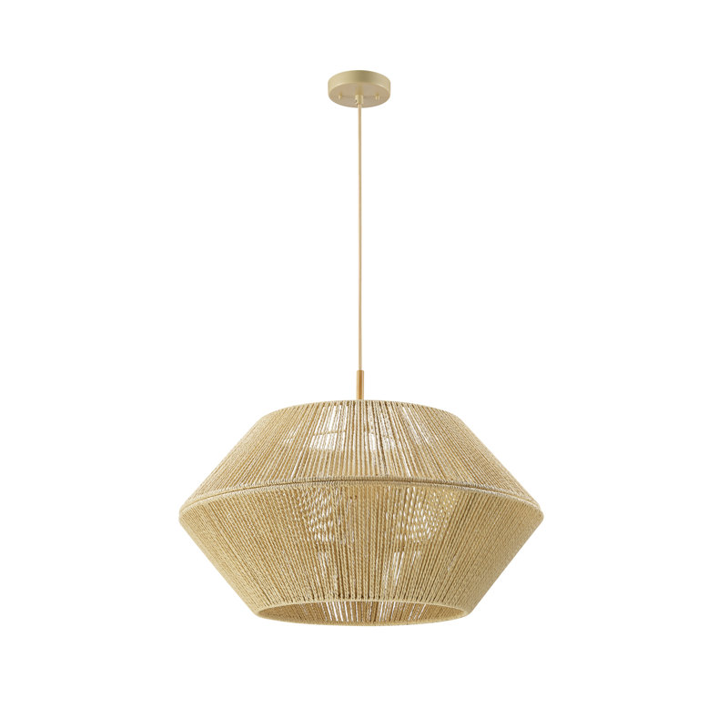 Luminaire suspendu unique à 1 lumière Adetayo