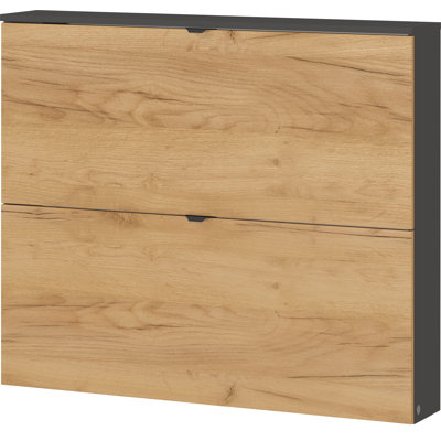 Aryauna 8 Pair Shoe Storage Cabinet