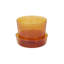 Callio Glass Pot with Saucer-1130474168