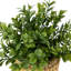 Plante artificielle en pot 7 po