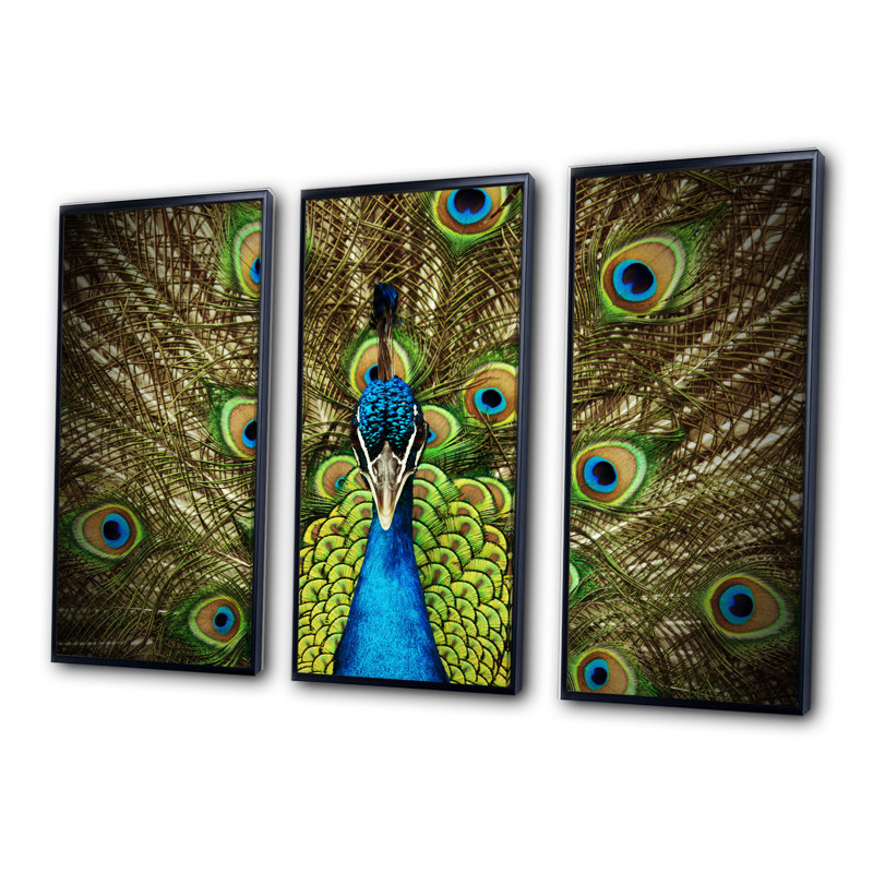 Grand paon - Ensemble de 3 reproductions d'art encadrées sur toile, Cadre noir, H 28 po x l 36 po x P 1 po
