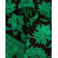 Tapis de couloir vert / noir 2 pi 6 po x 10 pi 4 po Overyed