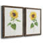 Tournesol I - ensemble de 2 reproductions d'art-422959580-422959587-422959586