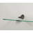 Capri 8X24 Shelf Kit With Beak-1965984404