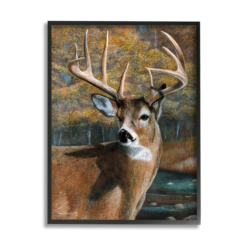 Art mural sur toile Stupell Industries Woodland, Giclée encadrée noir minuit, H 20 po x l 16 po x P 1,5 po
