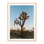 Camp Print by Wesley And Emma Teague-2005964808-2005964812-2005964814