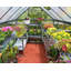Hobby Greenhouse-106916177