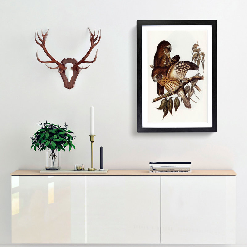 Boobook Owls by Elizabeth Gould - Picture Frame Painting Print, 36cm H x 27cm W x 2cm D, Black Framed