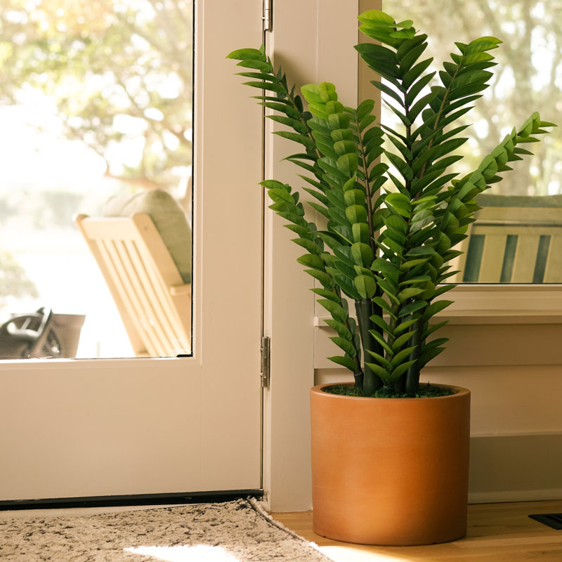 Zamioculcas de 99 cm (39 po) en céramique mate de couleur terre cuite moyenne, Matte Terracotta