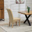 Coreyona 0cm H Velvet Upholstered Dining Chair-563451205