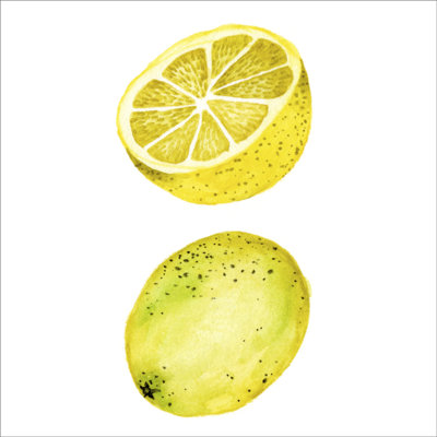 Love Me Fruit IV by Melissa Wang - Wrapped Canvas Painting