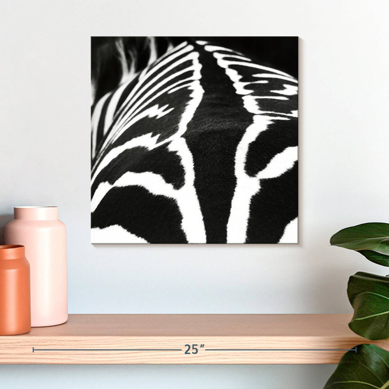 Brampt Zebra Stripes Pattern VI, 16" H x 16" W