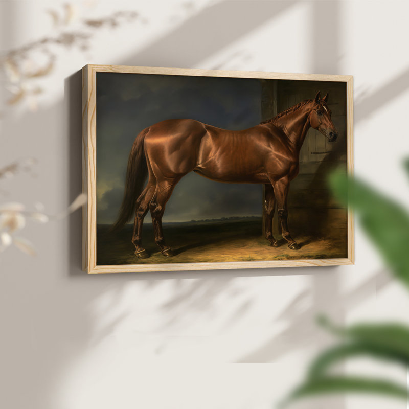 Faune - LVI - Reproduction encadrée - Restickable, Naturel, H 16 po x l 20 po