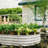 Galvanized Planter Raised Garden Beds-318434228