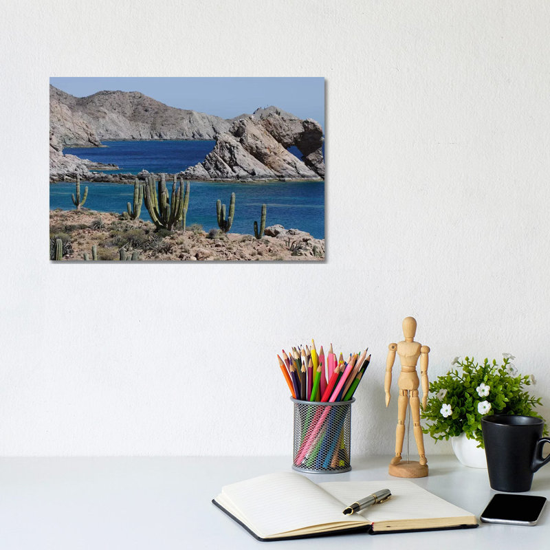 Cardon Cacti, Santa Catalina Island, Sea Of Cortez, Mexico by Hiroya Minakuchi - Wrapped Canvas Print