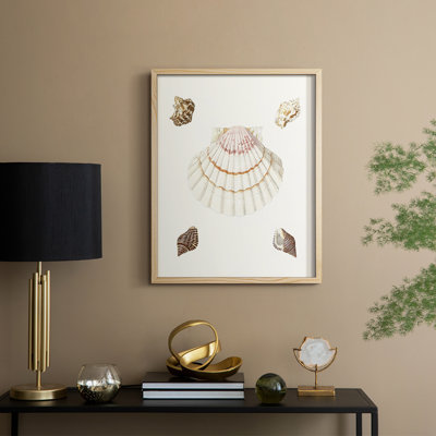 «Pastel Knorr Shells IV»