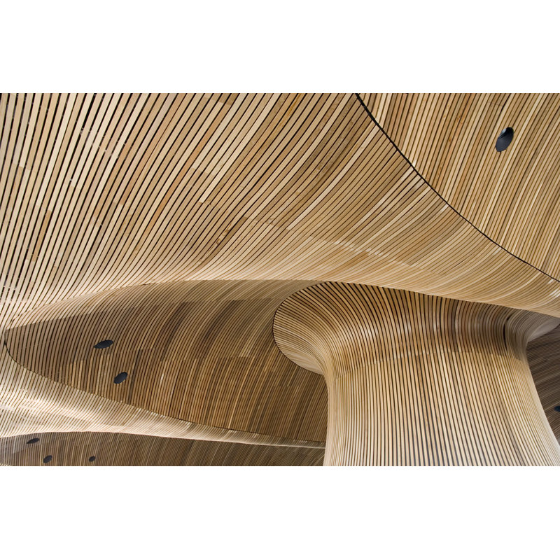 Klever Ceiling Of Welsh par - Photographie de toile tendue, H 24 po x l 36 po