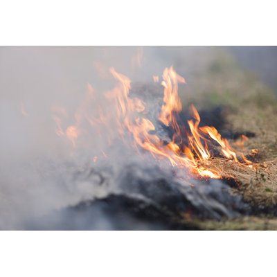Fire And Smoke by Y-studio - Wrapped Canvas Print