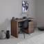 Hollice Writing Desk-116319069