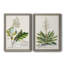 «Allurant Botanical I», ensemble de 2 reproductions d'art sur toiles-1527522521-1527522520