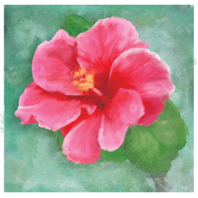 Hibiscus by Mollie B. - Print