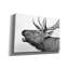 «Deer» par PhotoINC Studio-1011329295