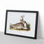 Rocky Mountain Hares by J.W. Audubon - Picture Frame Painting Print-55762876-55762878
