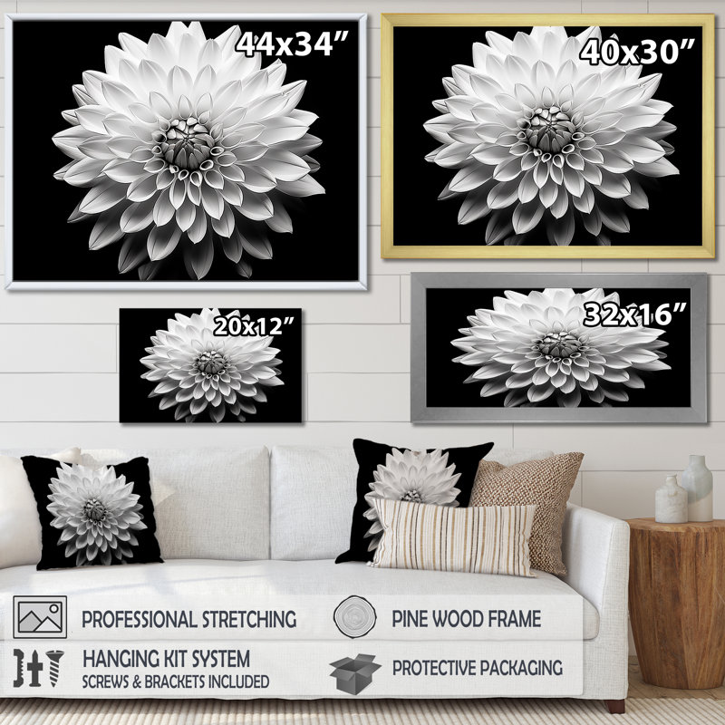 Dahlia en noir et blanc - impressions encadrées, Cadre flottant doré, L 32 po x H 24 po x P 1 po