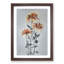Orange Chrysanthemum Flowers by Ogawa Kazumasa - Picture Frame Painting Print-55581403-55581404