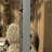 Padegs Raised Garden Bed with Trellis for Climbing Plants & Vines, Grey-22151882-53654844