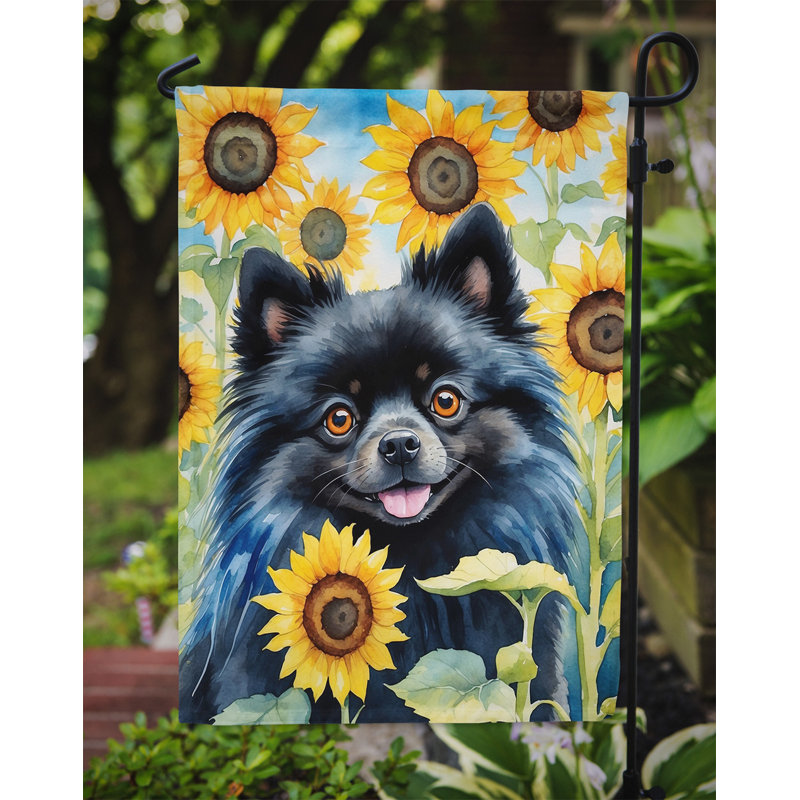 Lévrier irlandais dans le drapeau du jardin de tournesols, Loulou de Poméranie noir