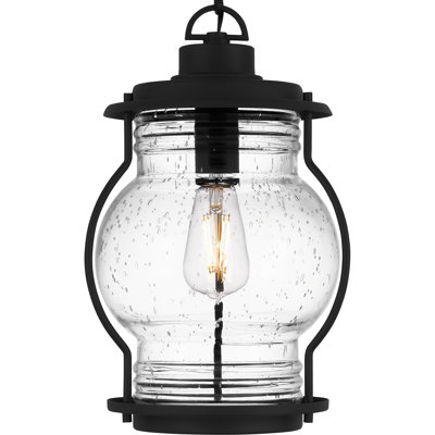 Abdikarim 1-Light Earth Black Outdoor Hanging Lantern