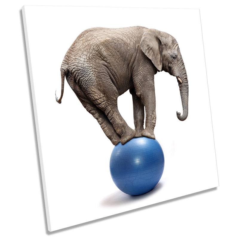 Elephant Balancing Ball - Wrapped Canvas Art Prints, 60cm H x 60cm W x 2cm D