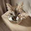 Table Vase 1-1062177904