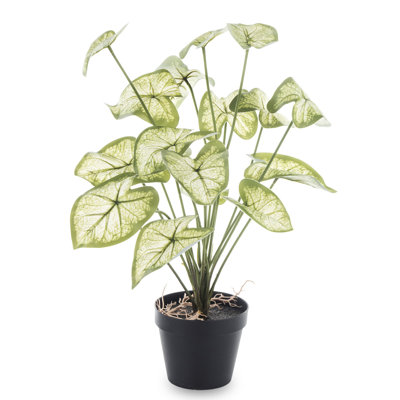 45cm Faux Evergreen Plant in Pot