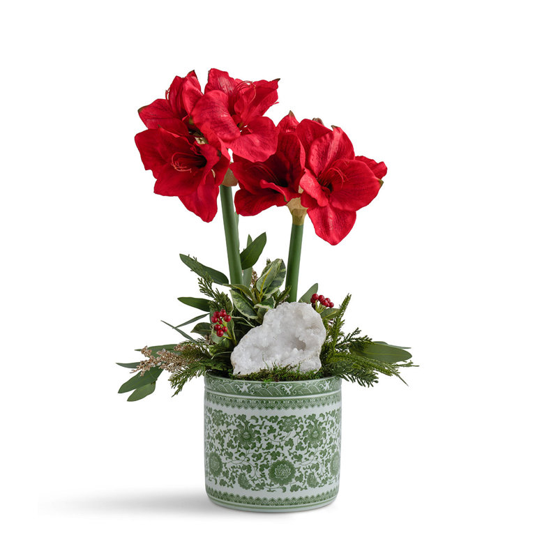 DLB WHITE AMARYLLIS IN GREEN ORENTIAL, Red