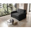 Sarlota 2 Seater Sofa Bed-2046638864