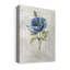 «Blue Linen Poppy», impression sur toile tendue-2060343