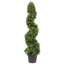 Arbre en spirale de buis vert Wolfdale-20583853