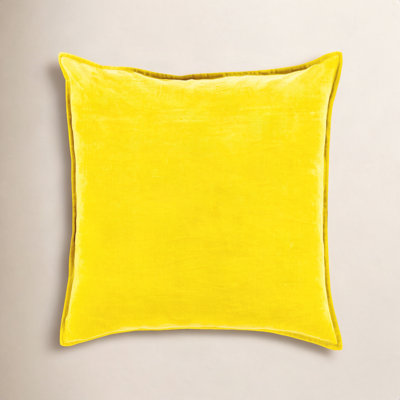 Edgar Pillow Cover
