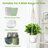 3Pcs Macrame Plant Hanger Indoor Hanging Planter Basket with Wood Beadsand Hooks Decorative Flower Pot Holder No Tassels for Indoor Outdoor Boho Home Decor 35 Inch, Ivory, Set of 3 (POTS NOT Included)-782664778