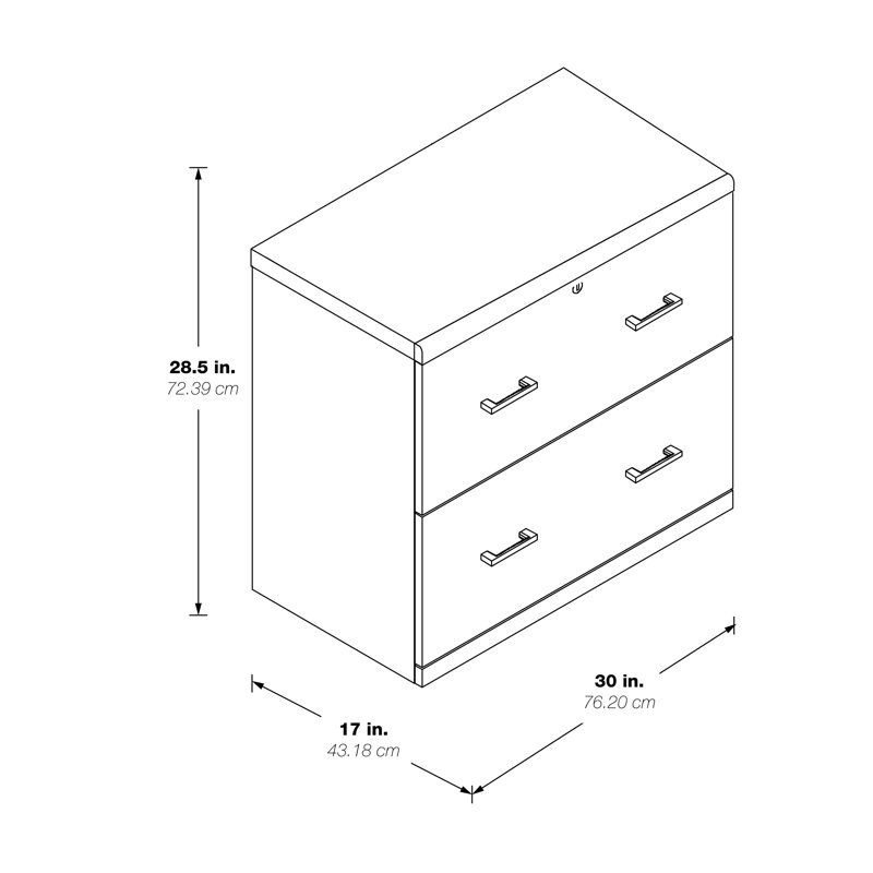 30'' Wide 2 -Drawer File Cabinet, Black