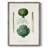 Fruit & Vegetable Varieties II Framed Print - Solid Wood-88958423