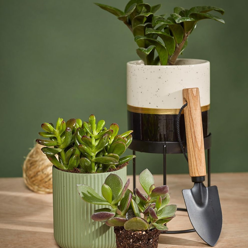 Metal Pot Planter